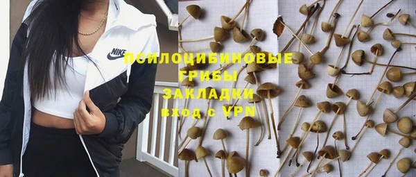 прущая мука Алексин